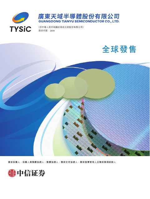 Guangdong Tianyu Semiconductor Company Limited