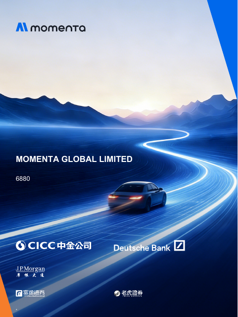 Momenta Global Limited